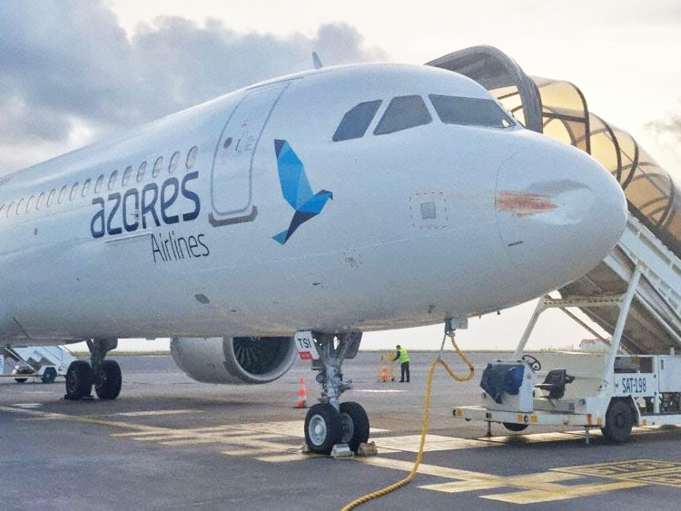 BIRD STRIKE OBRIGA A321LR DA AZORES AIRLINES A REGRESSAR AO AEROPORTO DE ORIGEM